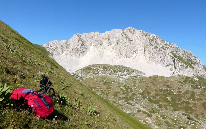 er Terminillo: la Nigritella widderi e altre orchidee sulla montagna di Roma.